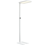 Ritter, LED Reading Floor Lamp