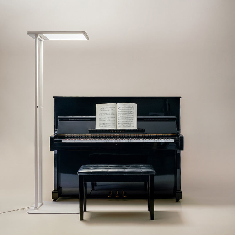 Ritter Premium, LED Reading Floor Lamp