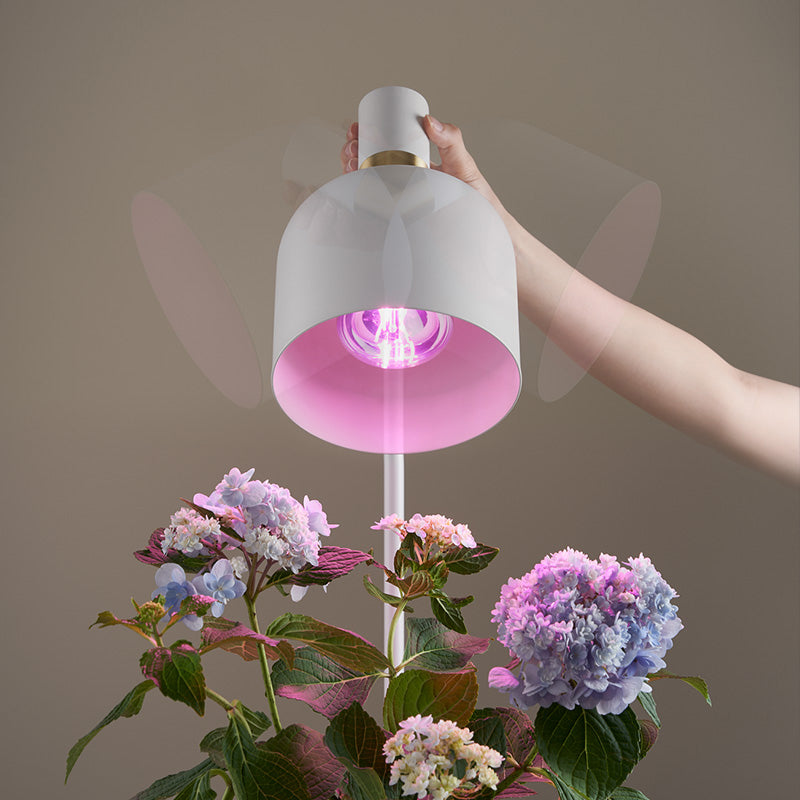 Geißler, Lamp for plants, White - Paulmann Hong Kong
